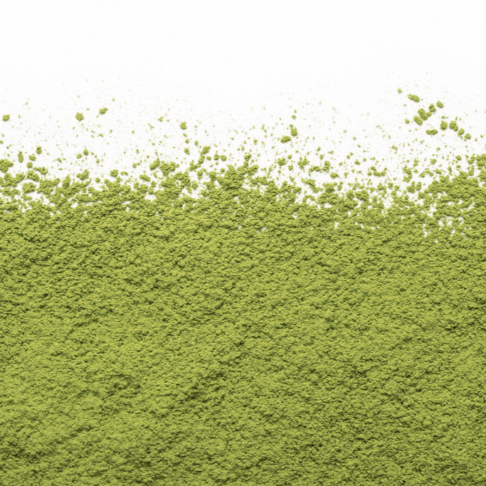 Camellia Sinensis - Organic Matcha Yume