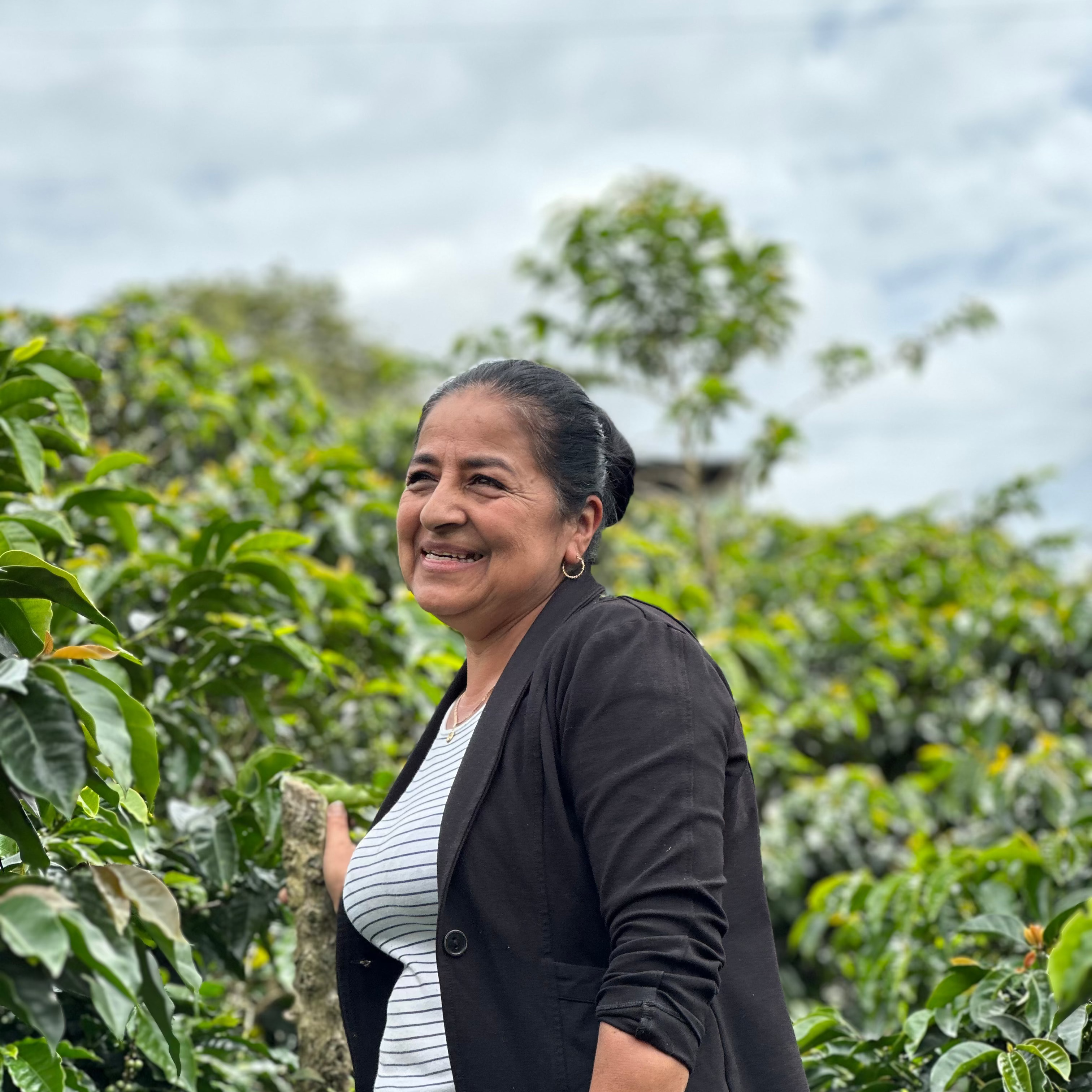 Colectivo - Mary Luz Ruiz