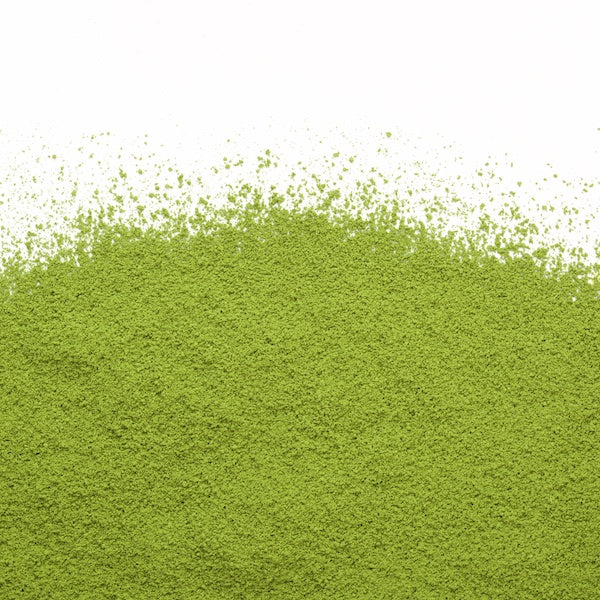 Camellia Sinensis - Uji Matcha