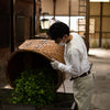 Camellia Sinensis - Matcha Sora