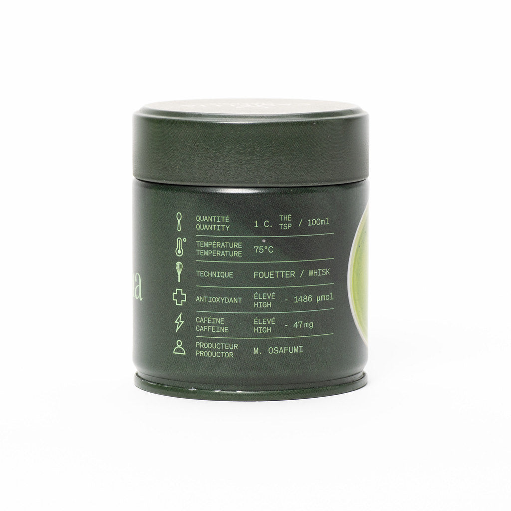 Camellia Sinensis - Uji Matcha