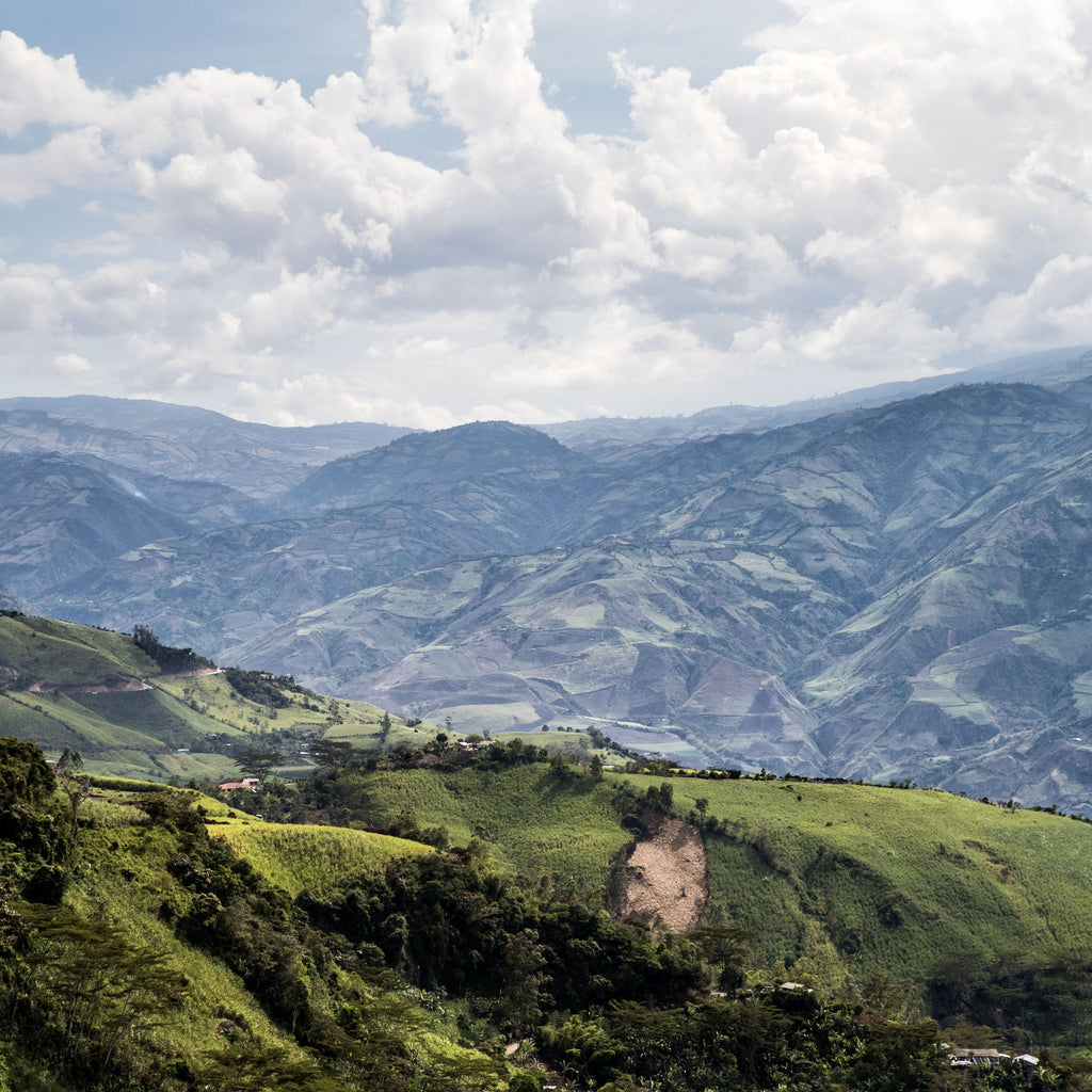 El Naranjo - Colombia