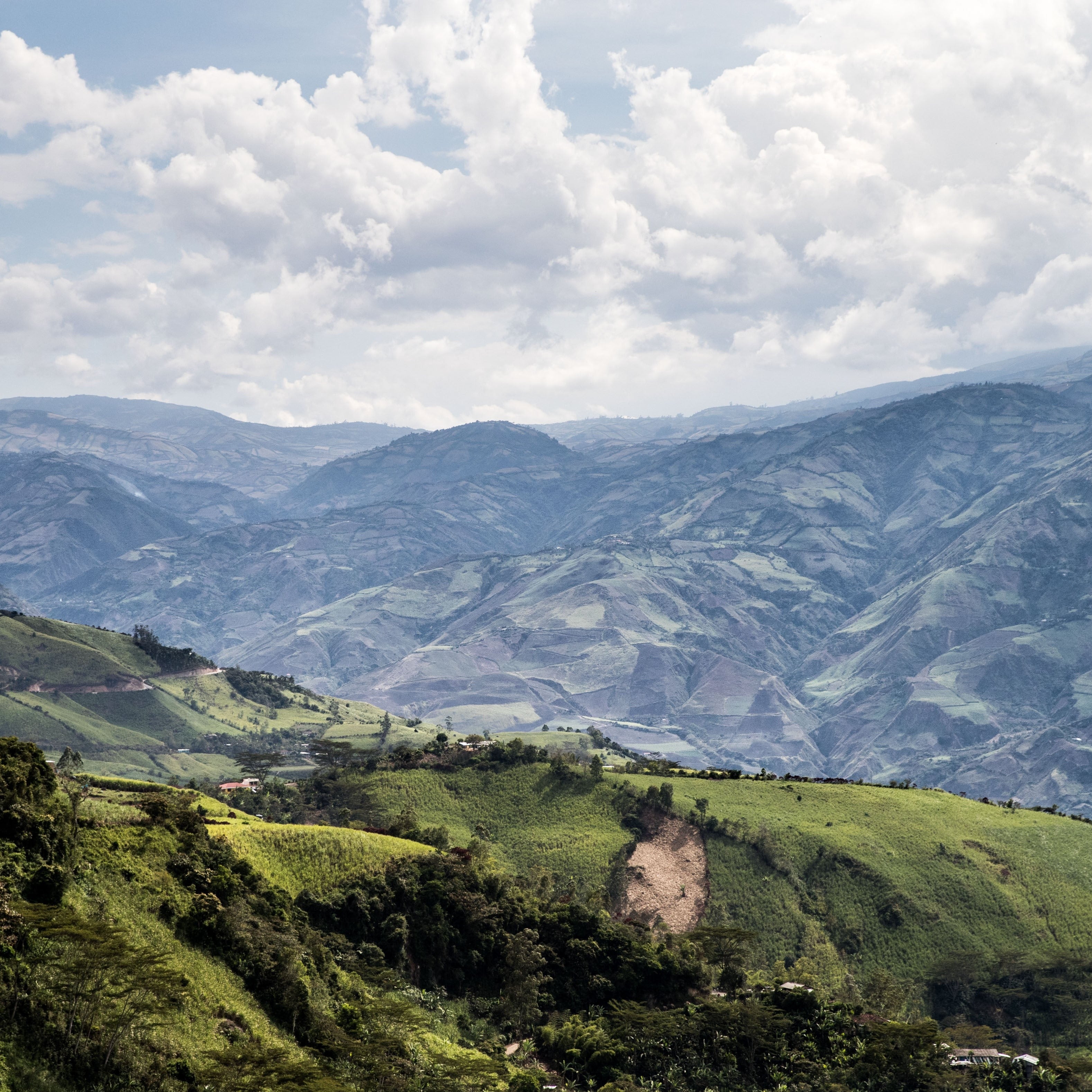 El Naranjo - Colombia
