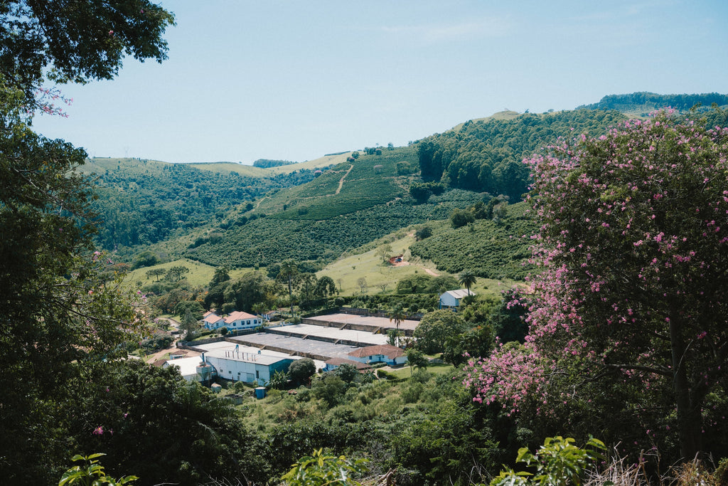 Fazenda Recreio