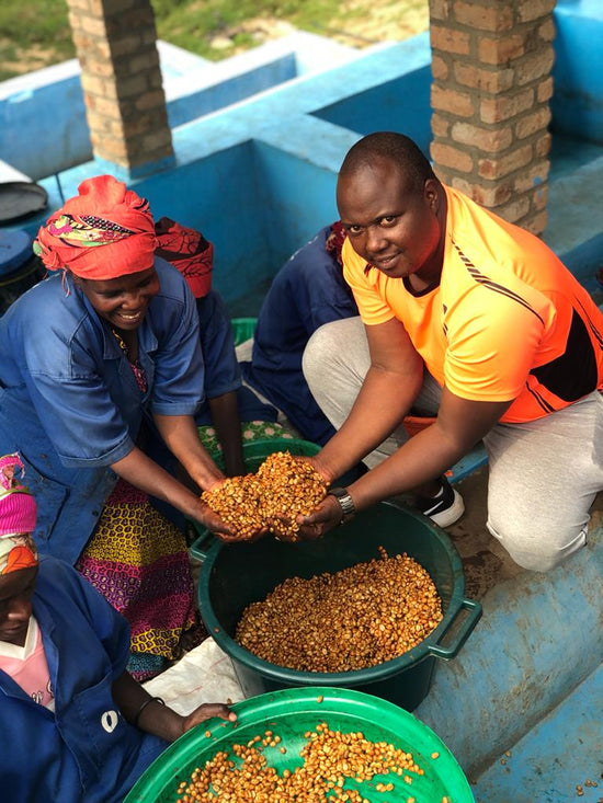 Fugi Ikizere Lavé Washed, Rwanda, café floral, arômes de jasmin, sucré et finement acidulé, goûte la pomme verte, l’abricot, Café Pista, torréfacteur local à Montréal, fair trade, ethical, third wave