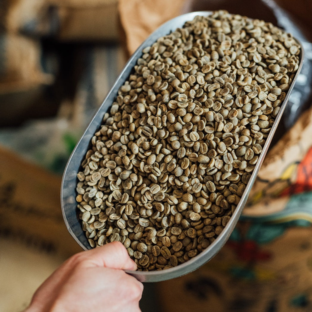 SAMPLES OF THE MONTH / WHOLESALE