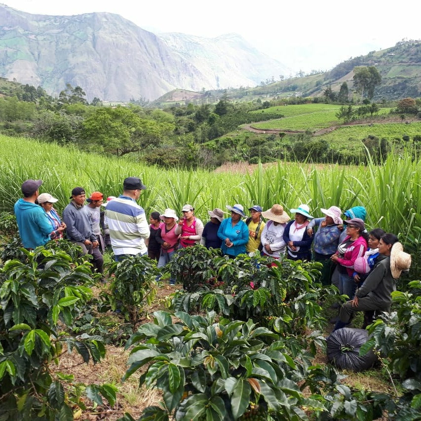 El Naranjo - Colombia