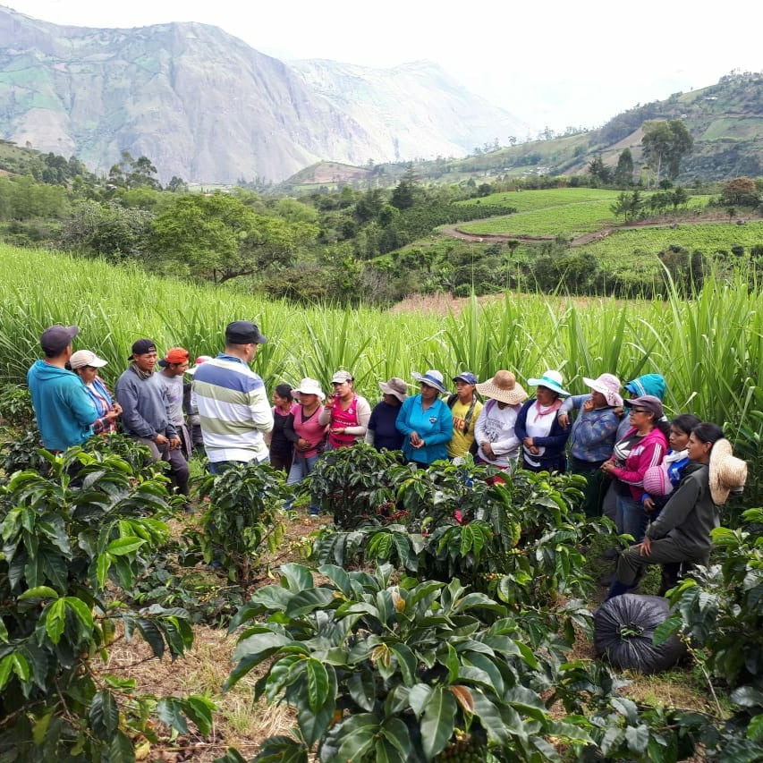 El Naranjo