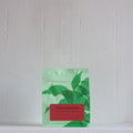 Finca La Hermosa - Guatemala