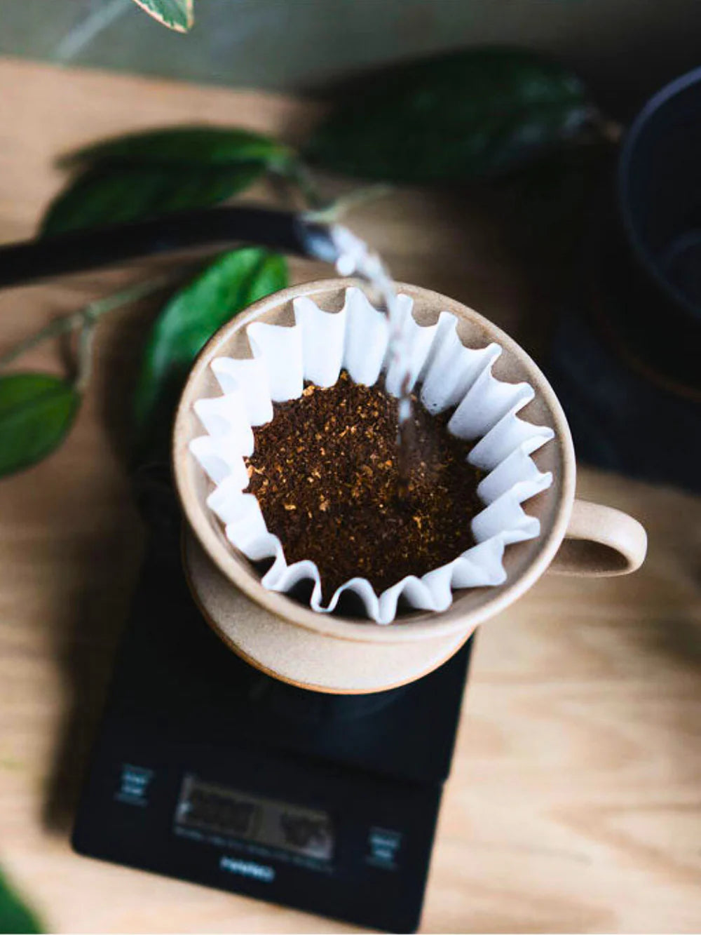 Kalita Wave dripper