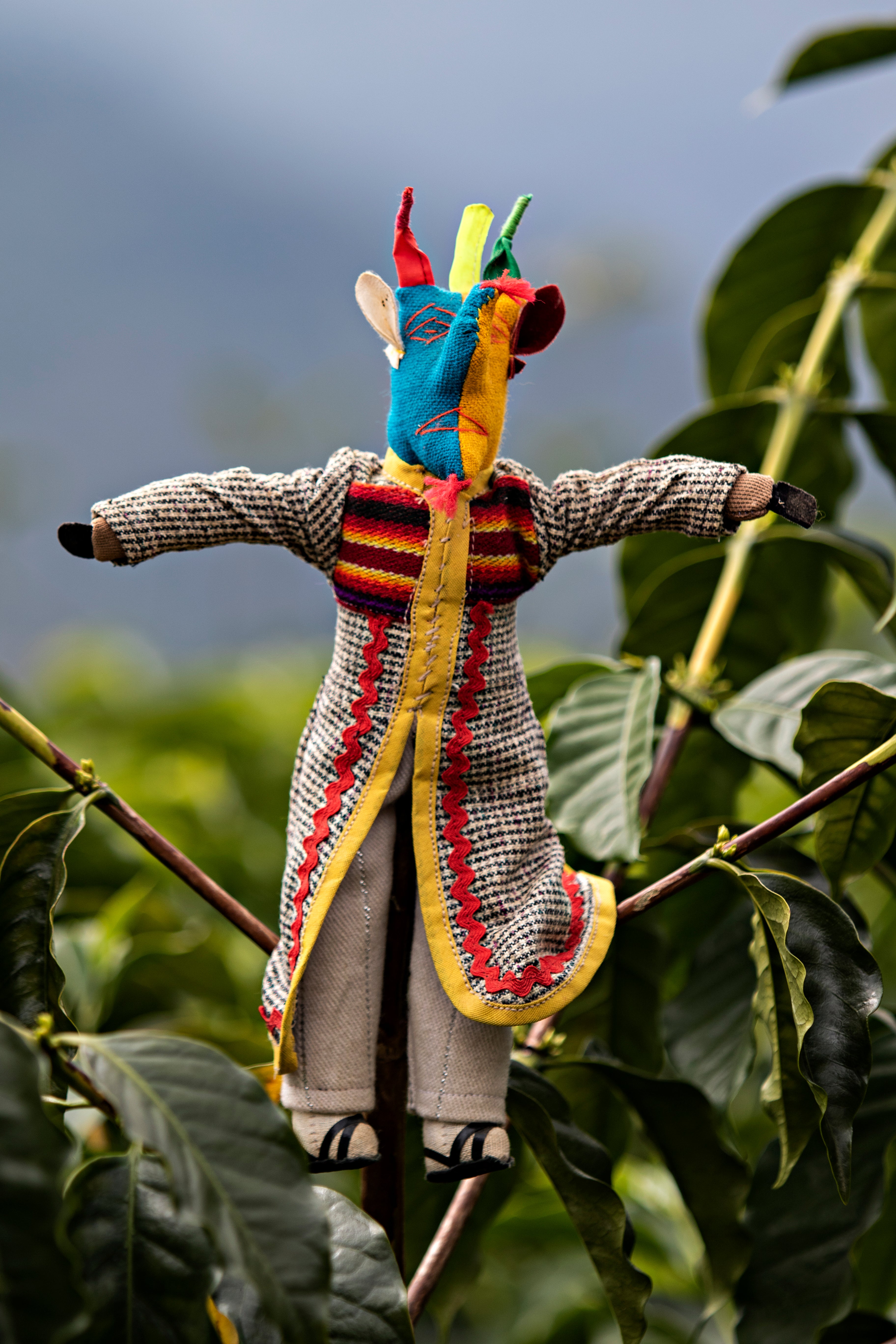La Linda - Bolivia