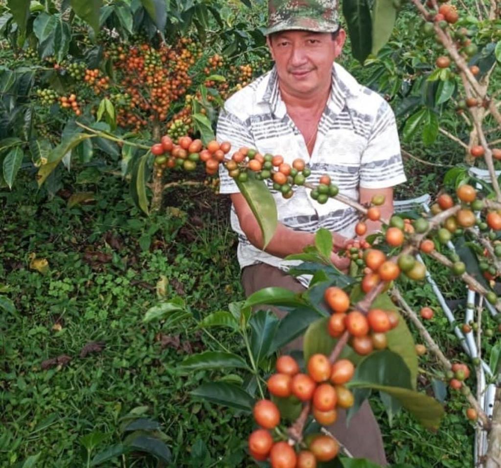 Colectivo - Pastor Ordonez - Colombie